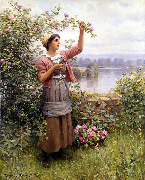 Daniel Ridgeway Knight Gathering Roses Germany oil painting art